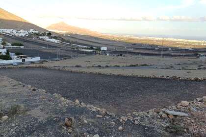 Terres agricoles vendre en Montaña Blanca, San Bartolomé, Lanzarote. 